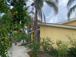 Un jardín con árboles frutales, plantas en flor y un edificio amarillo.