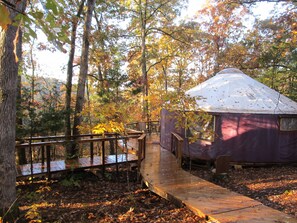 Property grounds - Yurt Floating in the Forest (Holts Summit)