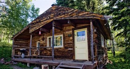 Bear Cabin - A Well-Equipped Log Cabin!