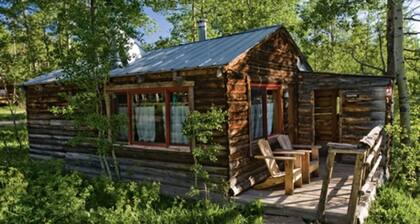 Beaver Cabin - Cozy rustic cabin