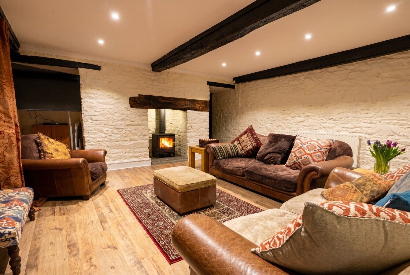 Smart TV, fireplace, books
