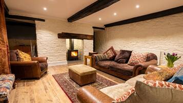 Smart TV, fireplace, books