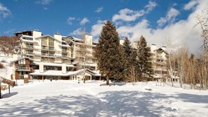 Un hôtel à plusieurs étages, dont le sol est recouvert de neige, doté de grandes fenêtres et d’un arbre imposant en premier plan.