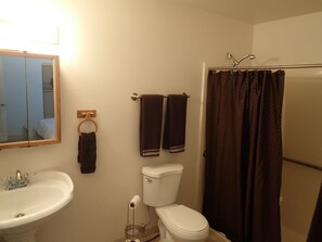 Combined shower/tub, jetted tub, hair dryer, towels