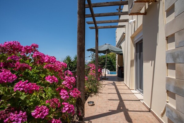 Terraza o patio