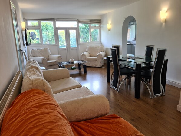 TV, computer monitors