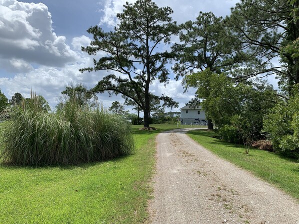 A gravel path leading to a house surrounded by trees and grass. - Rivendock Rookery II: Waterfront Home w/Dock & Stunning Views (Oriental)