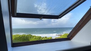 A skylight window with a view of the ocean and greenery.