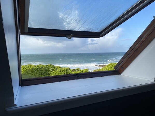 A skylight window with a view of the ocean and greenery.