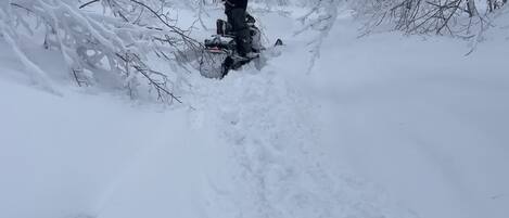 A person on a snowmobile in a snowy forest.