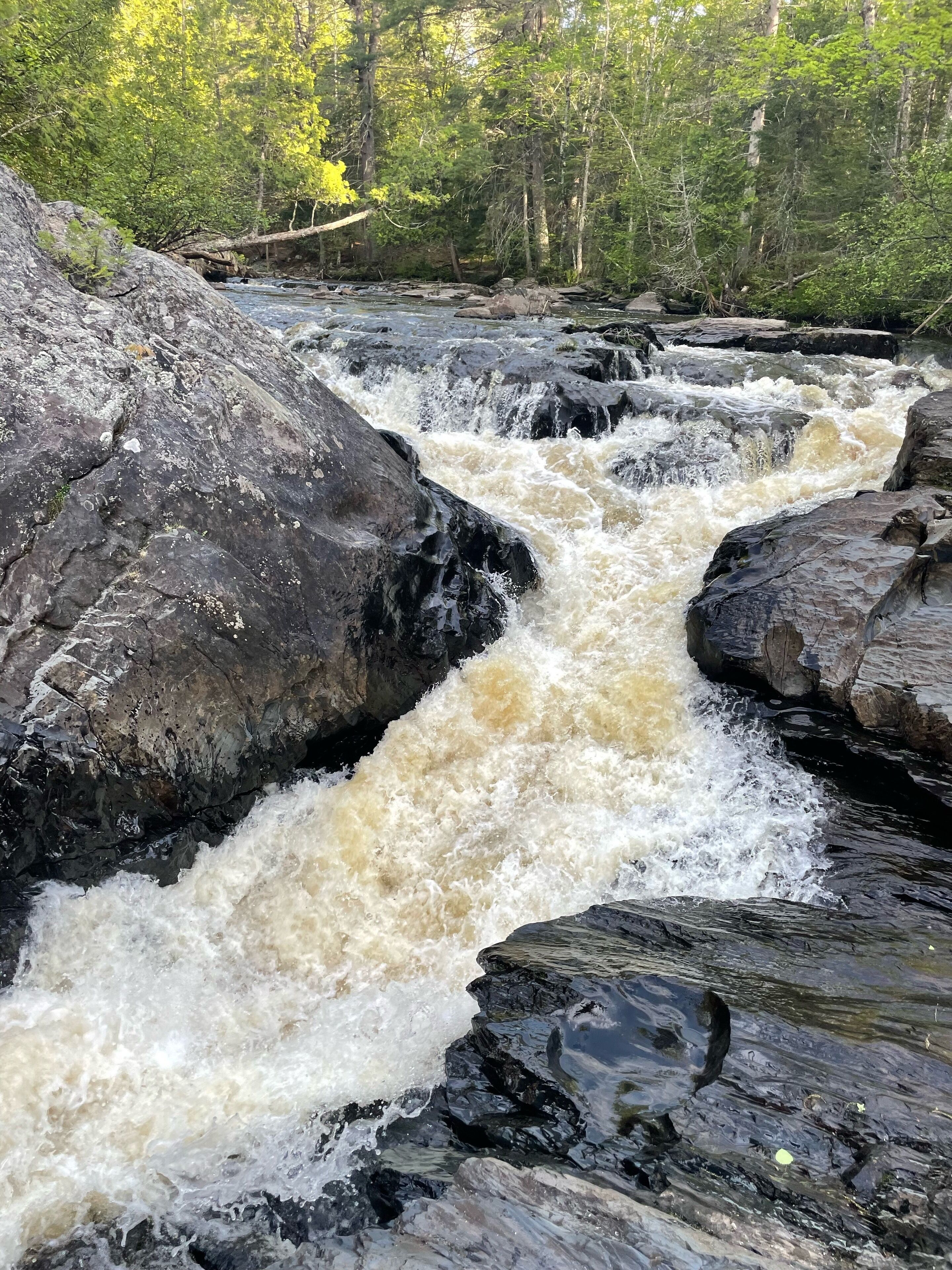 Un río serpentea por un paisaje rocoso con un bosque denso al fondo.