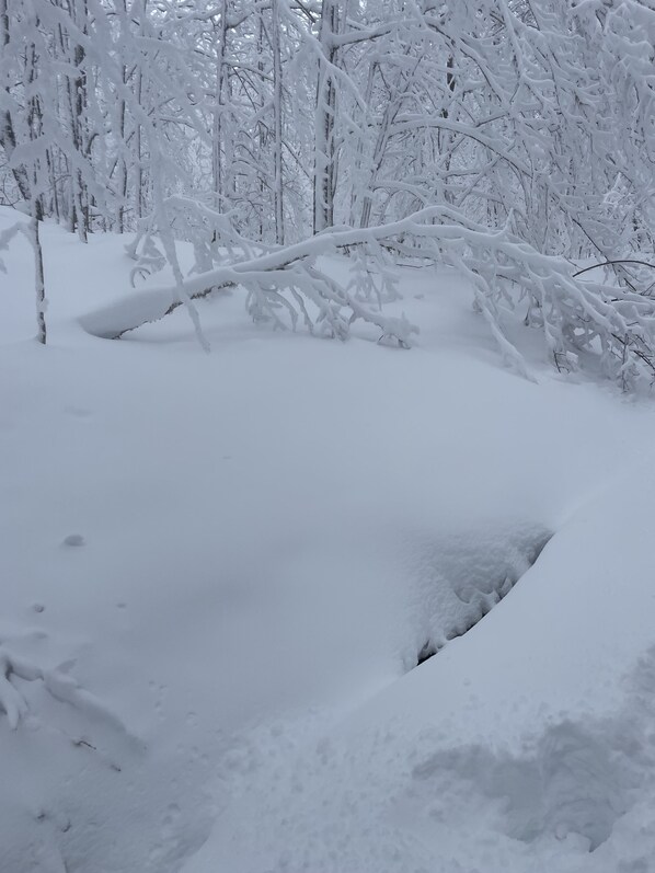 Un paisaje nevado con un arroyo cubierto de nieve y árboles.