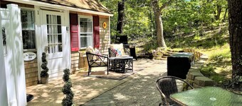🐳 The Whale Song - Dog-Friendly Studio