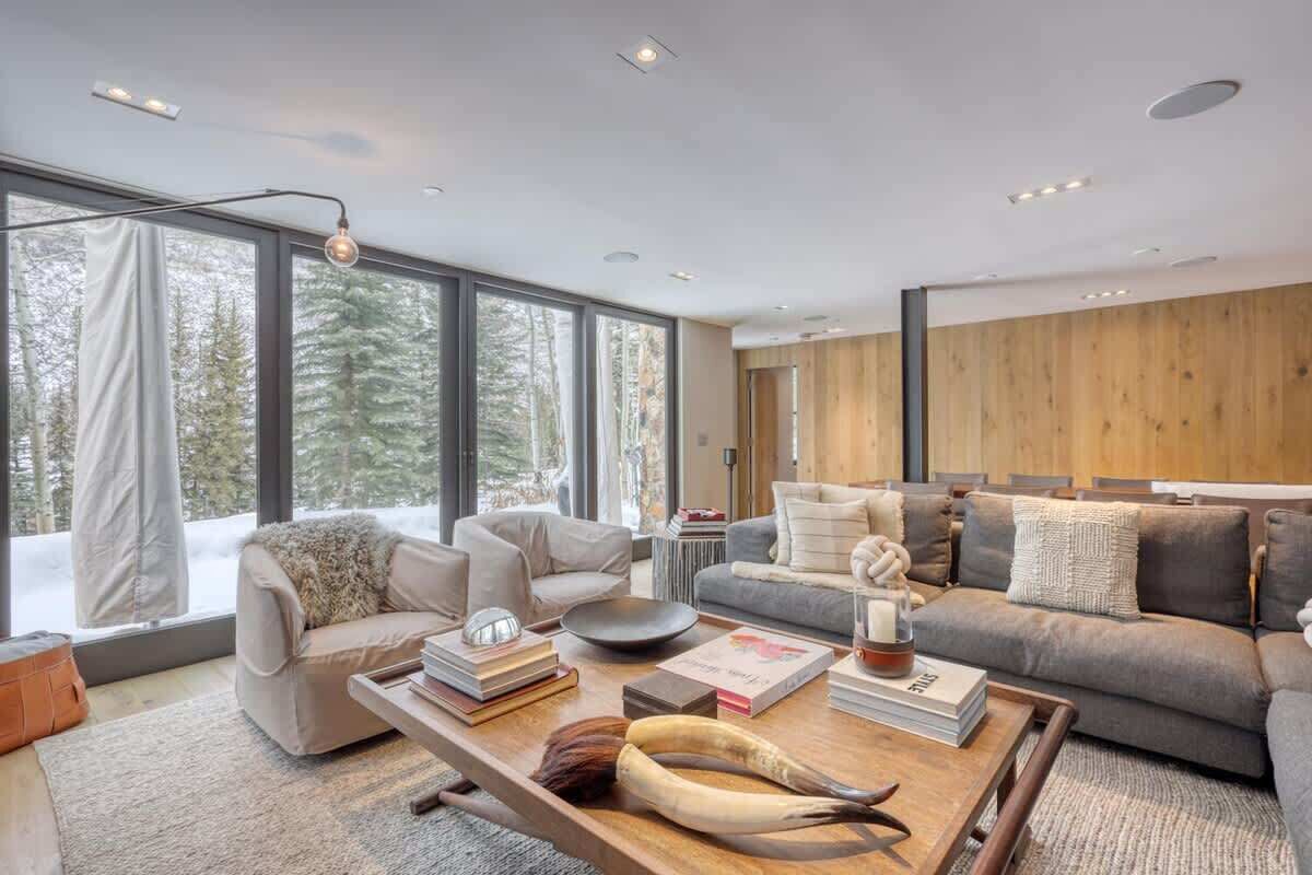 Télévision, cheminée, espaces bureaux