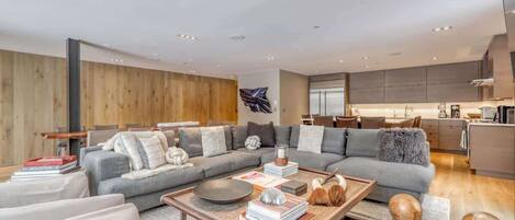 Télévision, cheminée, espaces bureaux