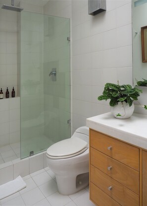 Duschwanne, Haartrockner, Seife, Shampoo