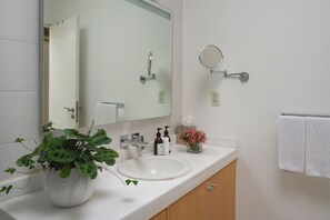 Combined shower/bathtub, hair dryer, soap, shampoo - Historical Duplex Home /  Near Pushkin Park (Ciudad de México)