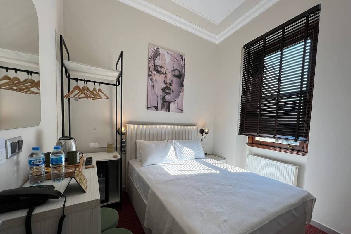 Exclusive Double Room | 1 bedroom, Egyptian cotton sheets, premium bedding, Select Comfort beds