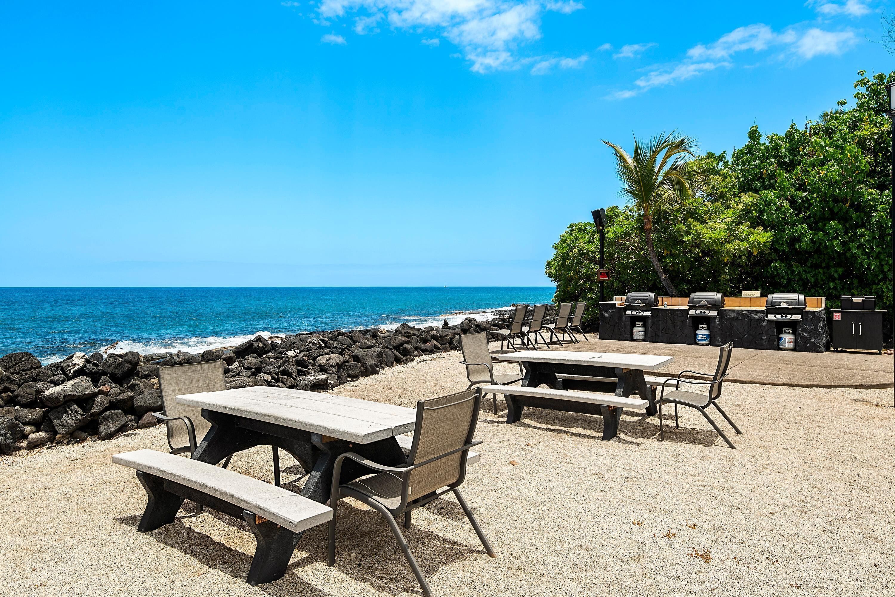 Un patio frente a la playa con mesas y sillas de picnic, una zona de barbacoa y vista al océano.