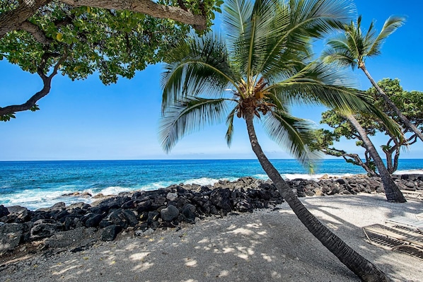 Condo, 1 Queen Bed (Kona Isle D2) | Beach - Kona Isle D2 (Kailua-Kona)