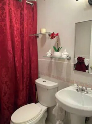 Bathroom features a toilet, sink, shower, and mirror.