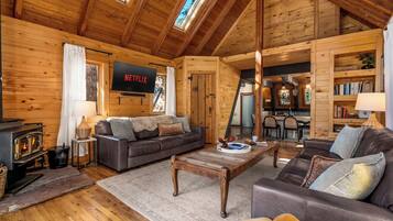 Smart TV, fireplace, books