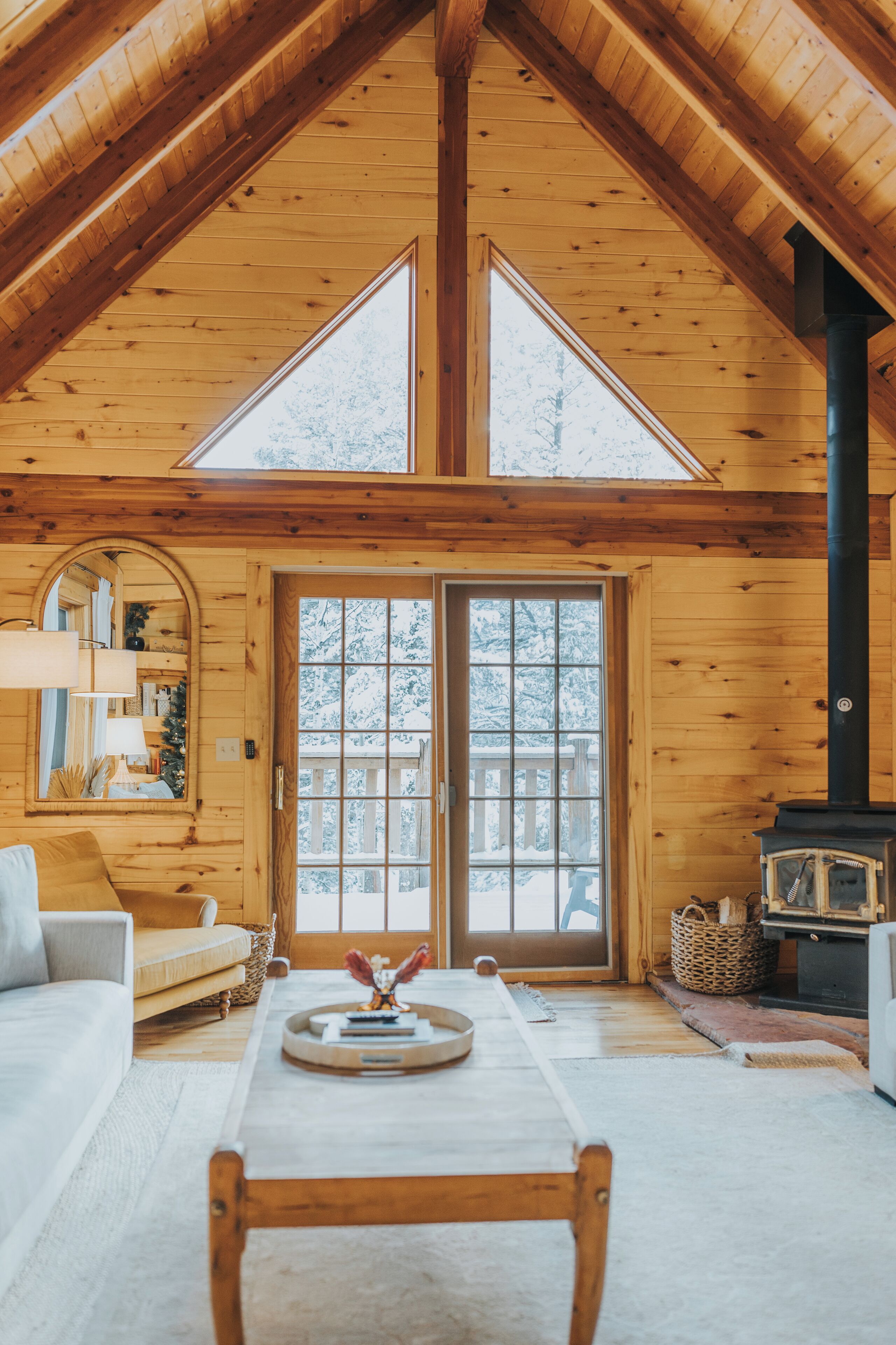 Smart-tv, pejs, bøger