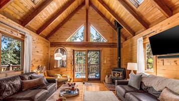 Smart TV, fireplace, books
