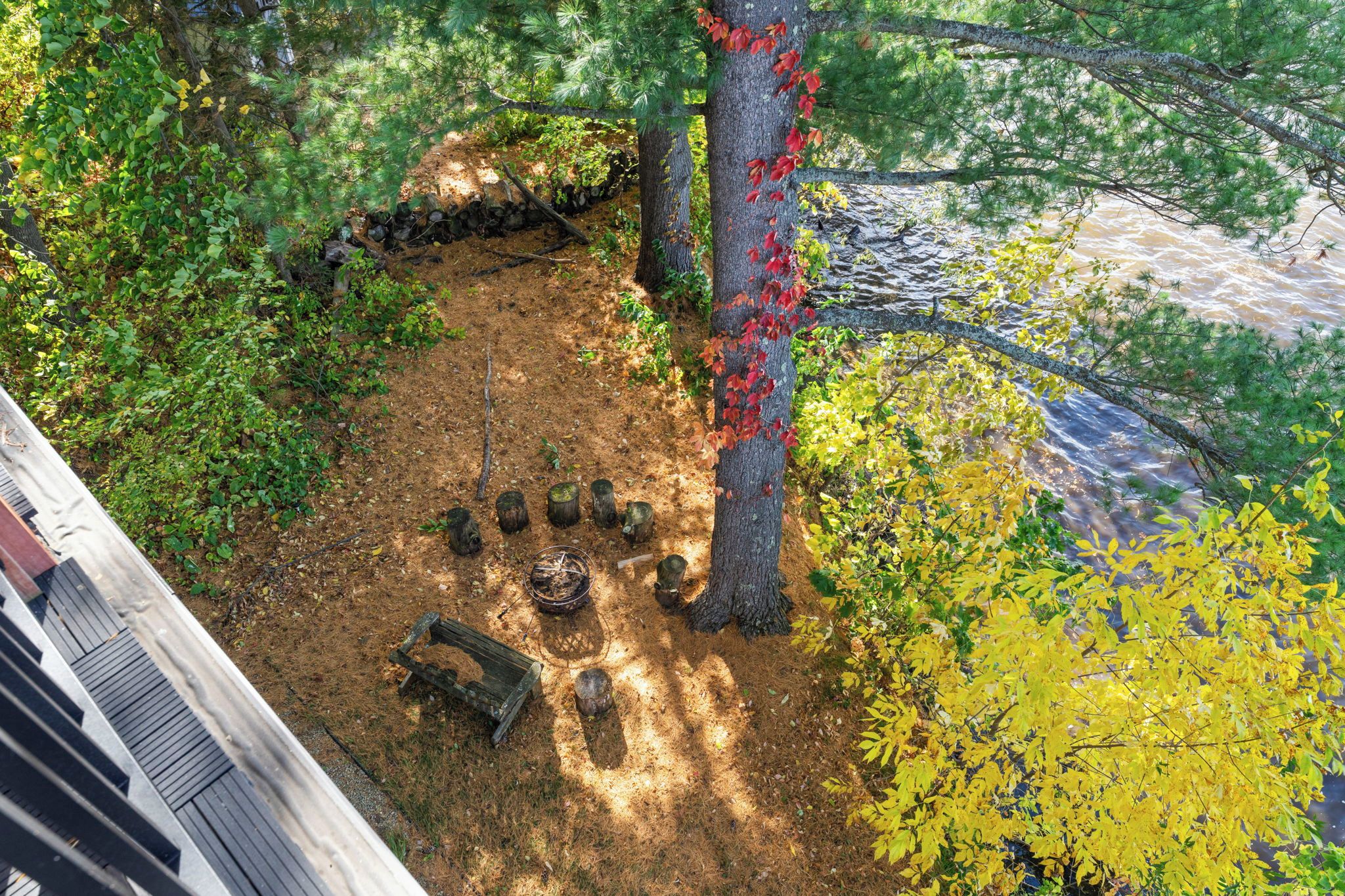 A forested area with a dirt path, a wooden bench, and a tree with red leaves.