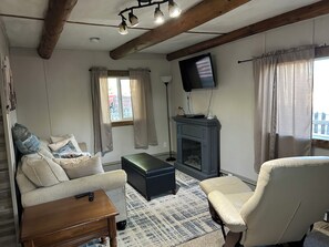 Smart TV, chimenea, reproductor de DVD y libros