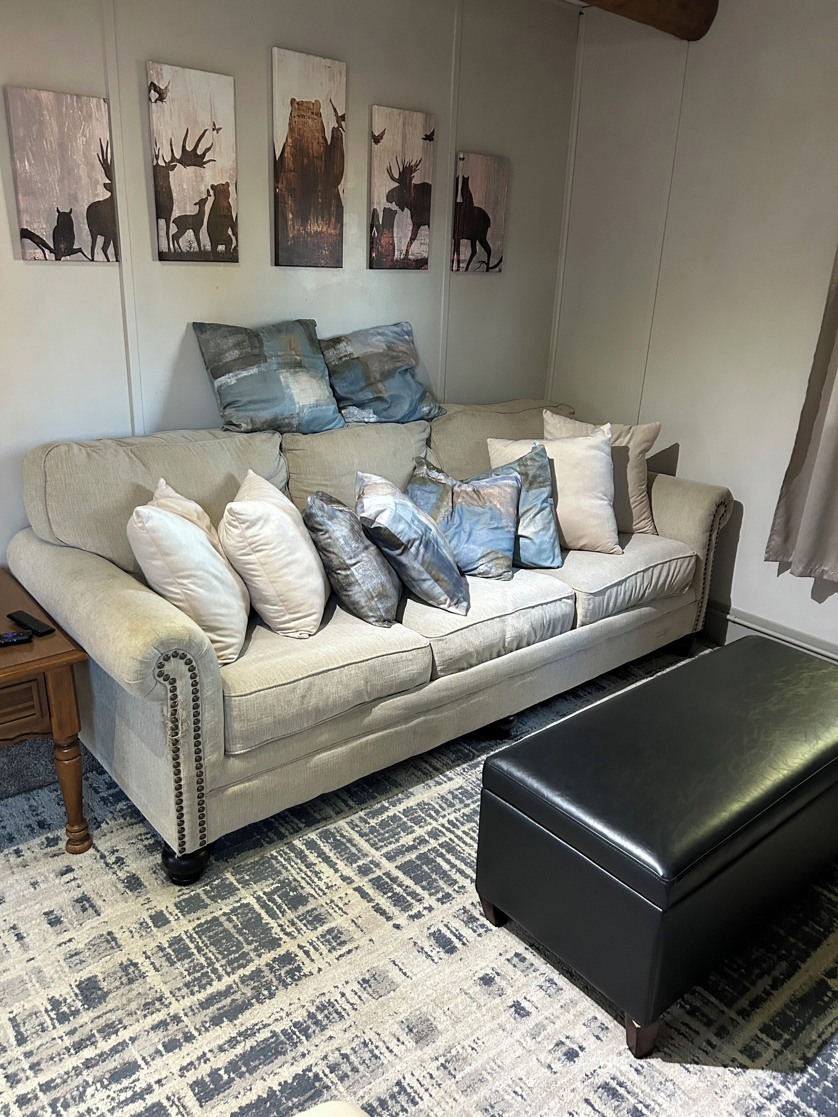 Smart TV, fireplace, DVD player, books