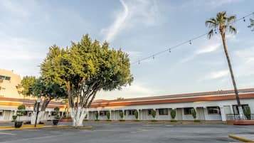 Un hotel con estacionamiento, un árbol grande y una palmera.