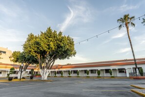 Un hotel con estacionamiento, un árbol grande y una palmera.
