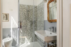 Shower, hair dryer, bidet, towels