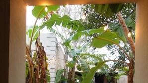 Een terras van stenen tegels met bananenplanten en een bloempot.