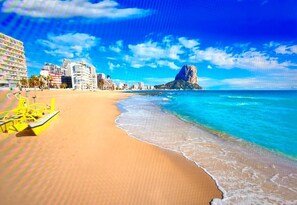 بالقرب من الشاطئ