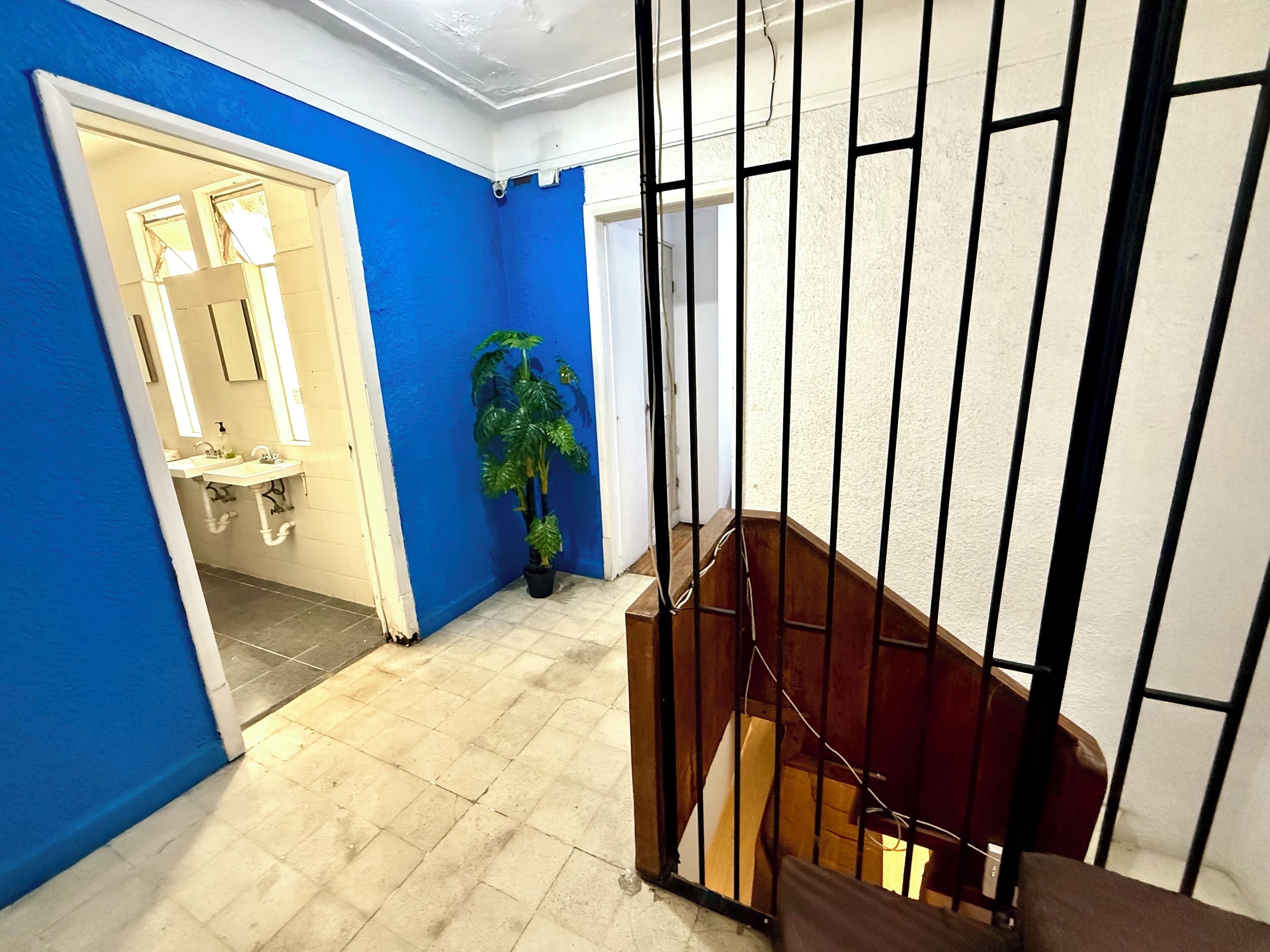 Foto - ROOMIES HOSTEL Condesa