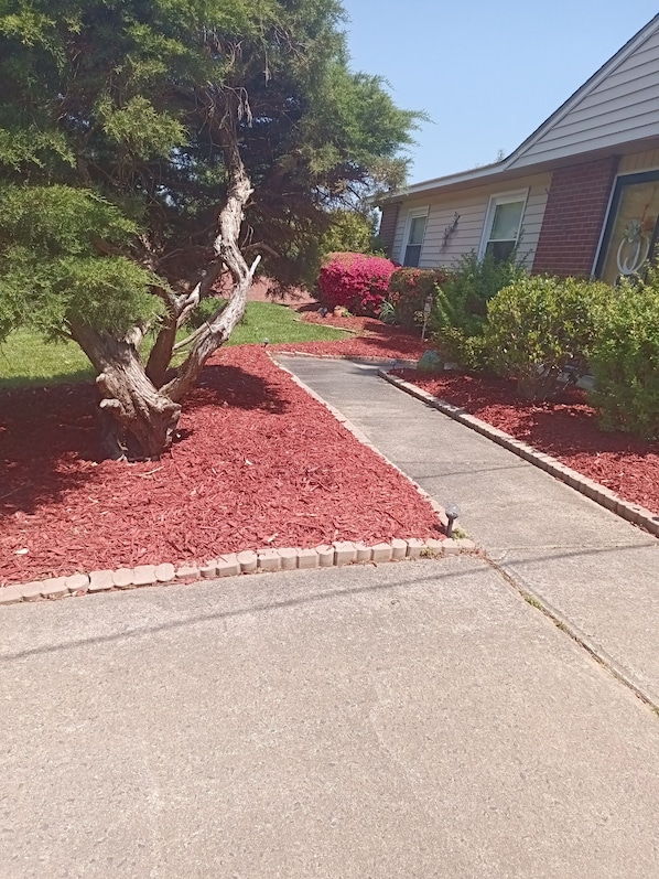 Parco della struttura