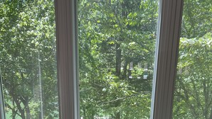 Una habitación con dos sillas negras orientadas a un ventanal con vistas a un parque verde y árboles.