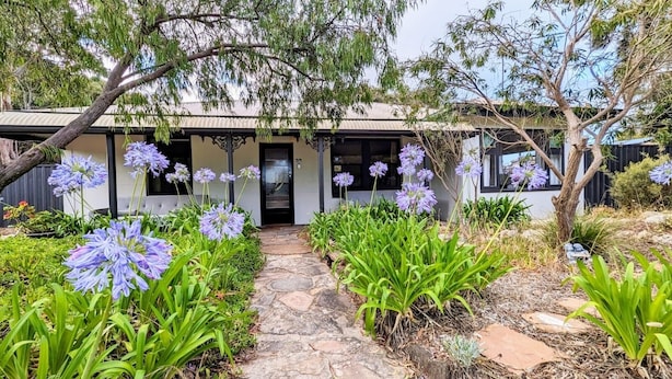 A house with a stone pathway leading to a door, surrounded by lush greenery and purple flowers.
