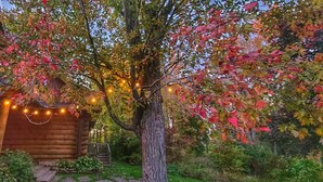 A log cabin with a porch and string lights, surrounded by trees with autumn foliage. - Beautiful Chalet on the Lake! (Carleton Place)