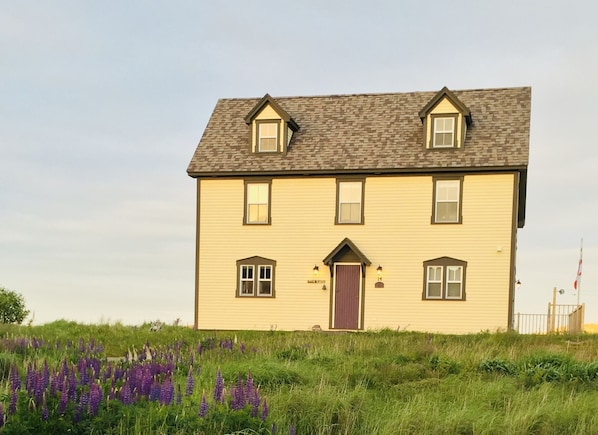 Exterior - COMMANDER'S KEEP VACATION HOME - 4 1/2 ⭐️ (Trinity, Trinity Bay)