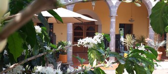 Casa Aroma de Café