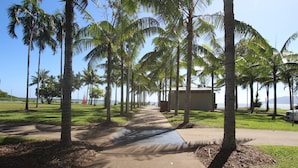 A pathway lined with palm trees leading to a building with a view of the ocean. - Inner City One Bedroom Apartment with Pool View 22 (Cairns)
