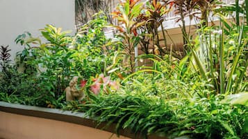 Jardim