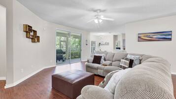 Smart TV, fireplace, video games, DVD player