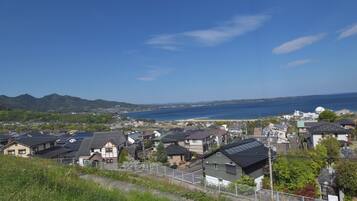 A residential area with houses, a clear sky, and a body of water in the distance.