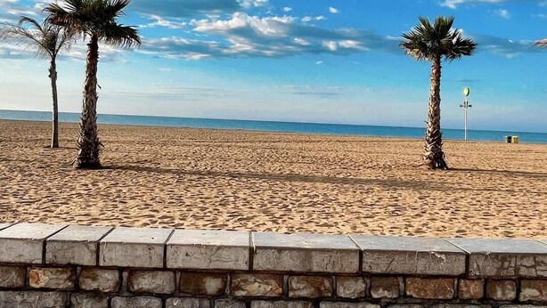 Une plage avec deux palmiers et un mur de pierre au premier plan.