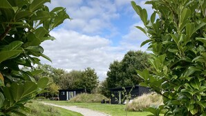 A pathway leading to a small cabin surrounded by lush greenery and trees. - Robin’s Nest - ( Top Cabin )  - sleeps 2 guests (Foolow)