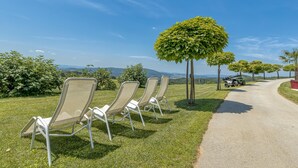Un sentier bordé de trois chaises longues et d’un arbre.